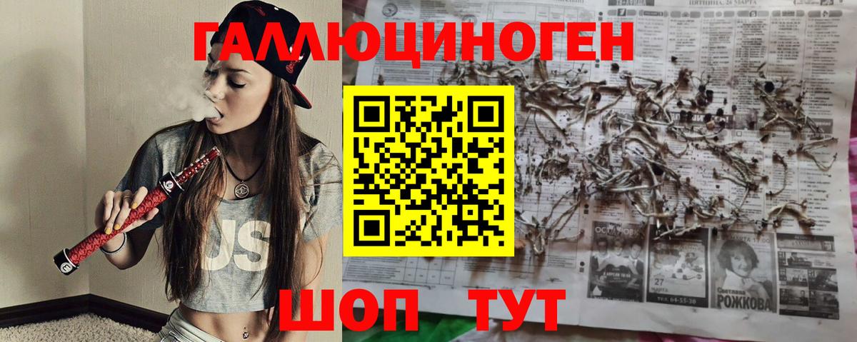 Псилоцибиновые грибы GOLDEN TEACHER  Галлюциногенные грибы ЛСД  Асино  Вход с VPN 